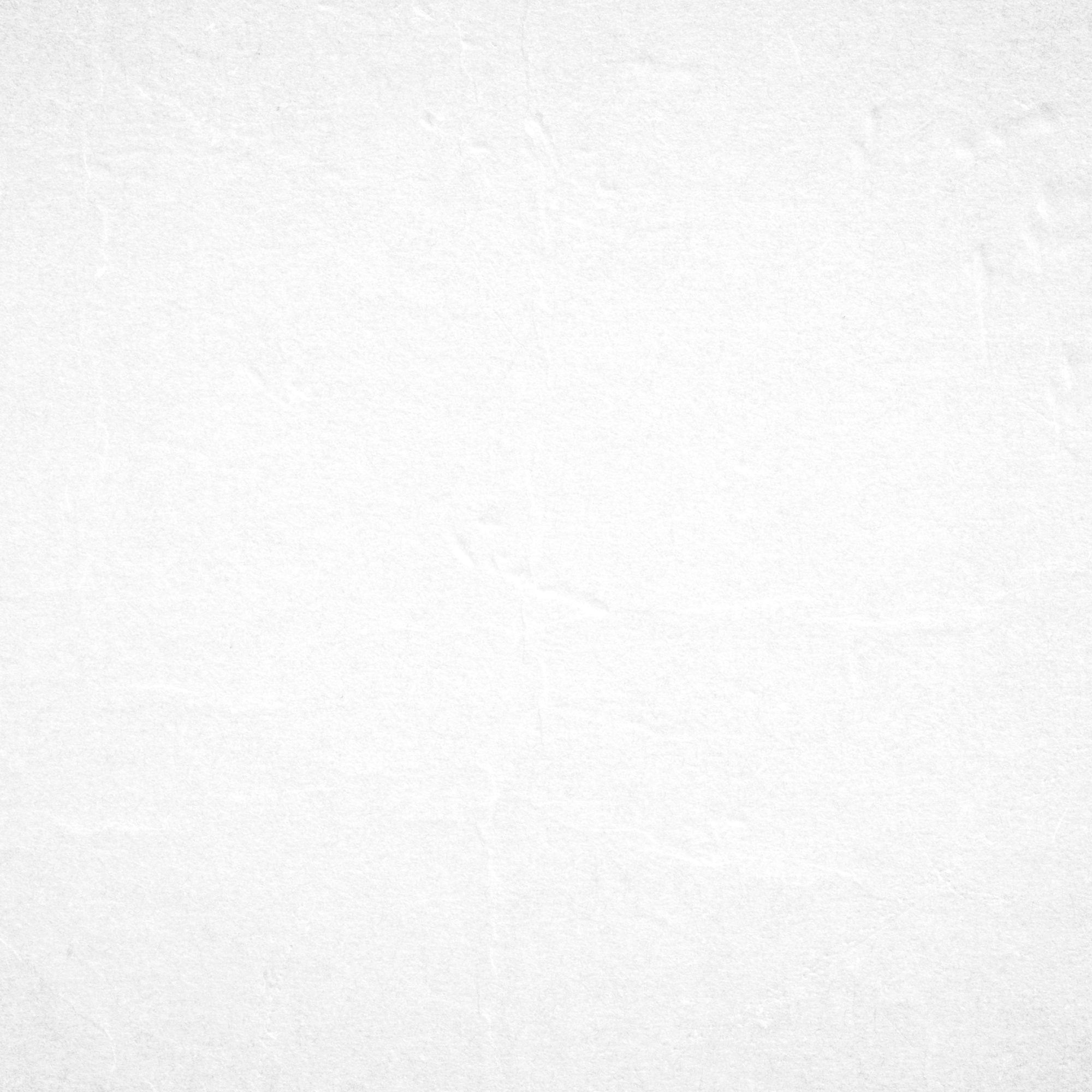 White paper background.